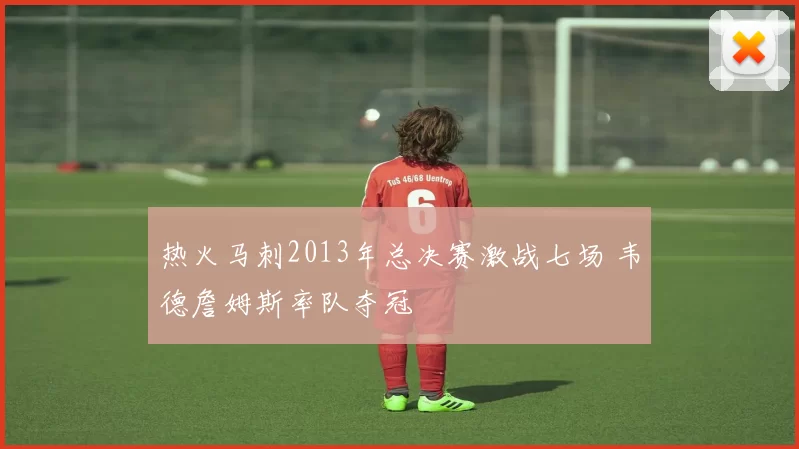 热火马刺2013年总决赛激战七场 韦德詹姆斯率队夺冠